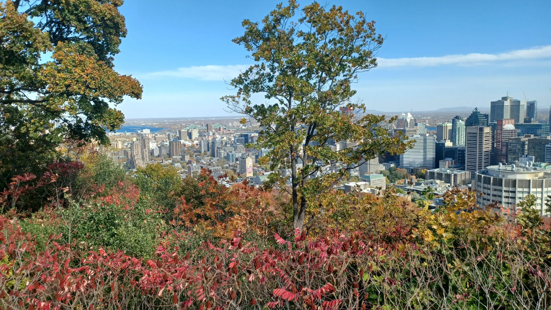overview of the Montreal skyline in daylight from the Mount Royal Chalet. the Jacques Cartier Bridge is visible on the left