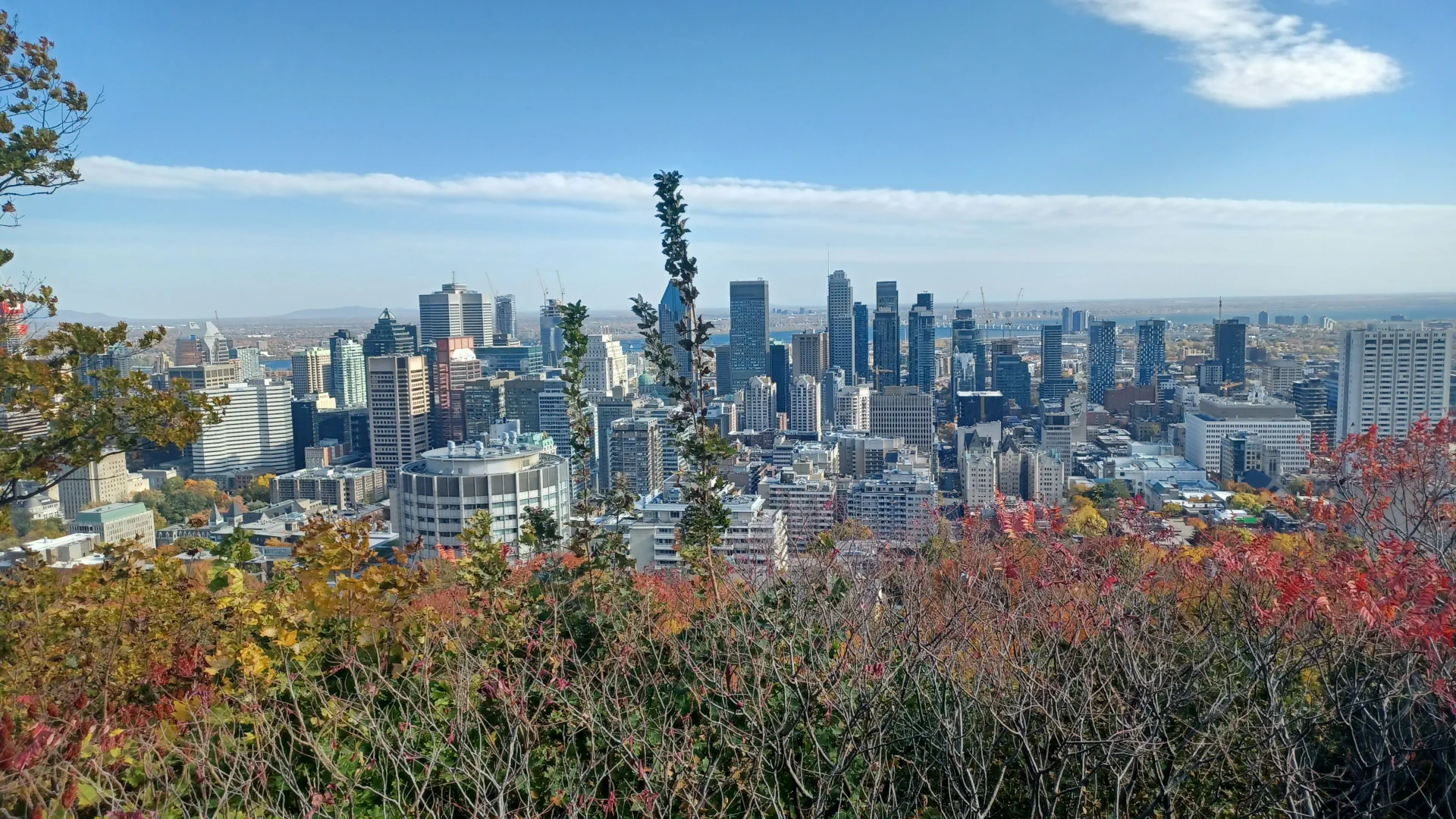 overview of the Montreal skyline in daylight from the Mount Royal Chalet